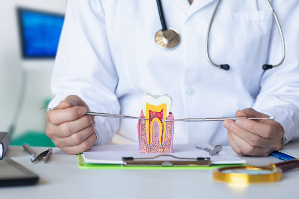 Best Urgent Dental Care in Santa Moni, CA